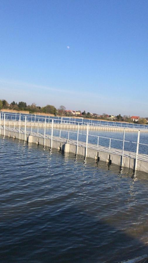 Camping Oaza Błonie Kórnik Domki Standard - 3 pokoje Exterior foto